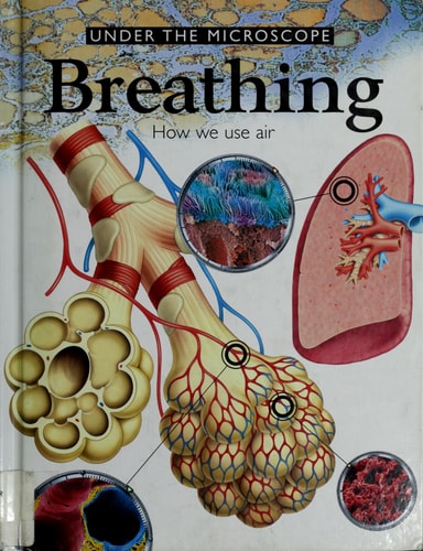 Under the Microscope: The Human Body