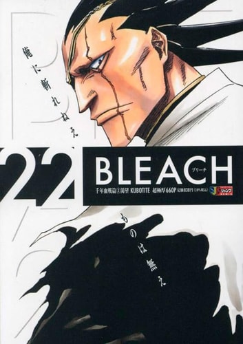 Bleach (Series, Title Not Specified)
