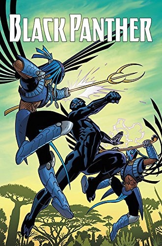 Black Panther: A Nation Under Our Feet, Vol. 1