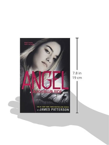 Angel: A Maximum Ride Novel (Maximum Ride, 7)