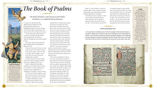 The Children's Bible