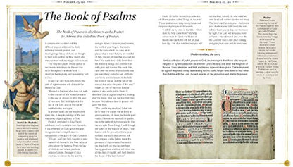 The Children's Bible