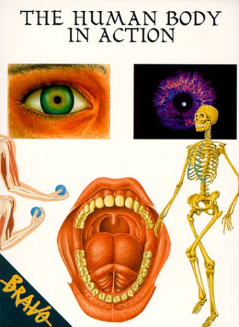 The Human Body in Action (BRAVO)