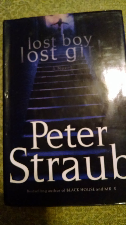 lost boy lost girl: A Novel