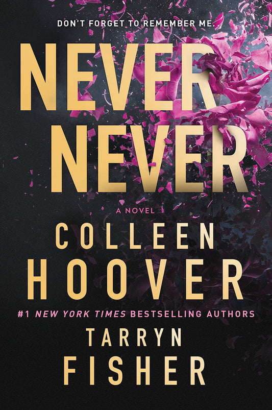 Never Never: A Romantic Suspense Novel of Love and Fate